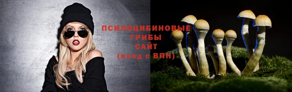 спиды Новокубанск