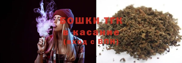 гашик Алексин