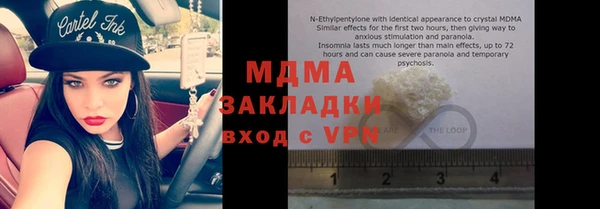 гашик Алексин