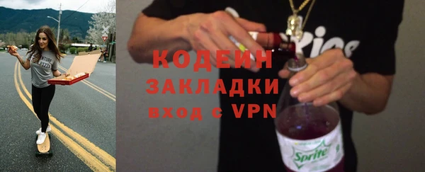 гашик Алексин