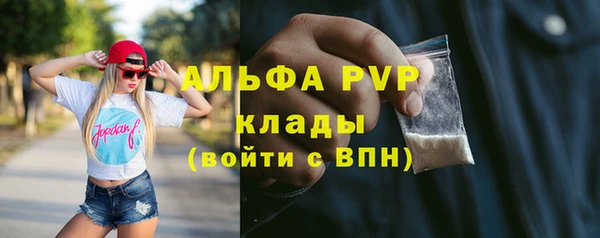 спиды Новокубанск