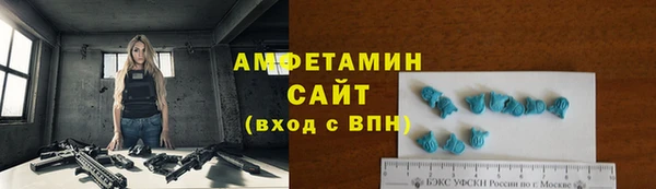 гашик Алексин