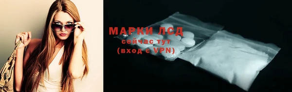 гашик Алексин