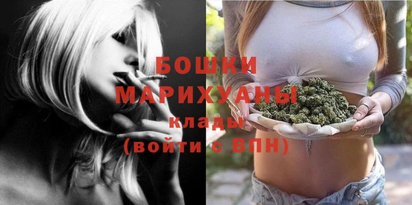 трава Новозыбков