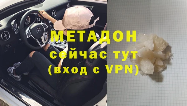 гашик Алексин