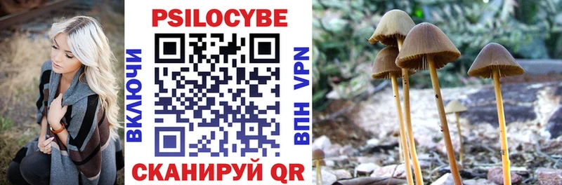 даркнет сайт  Амурск  Псилоцибиновые грибы MAGIC MUSHROOMS 